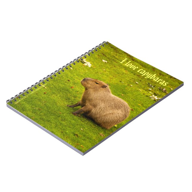 I kärlek Capybaras Notebook Anteckningsbok (Vänstra Sidan)