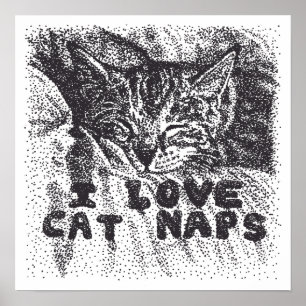 I Kärlek Cat Naps, katt sover Poster