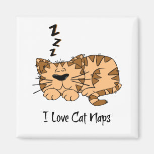 I Kärlek Cat Naps Magnet