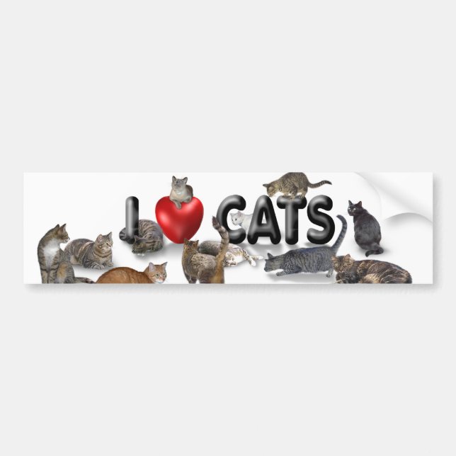 I kärlek Cats Bildekal (Framsidan)