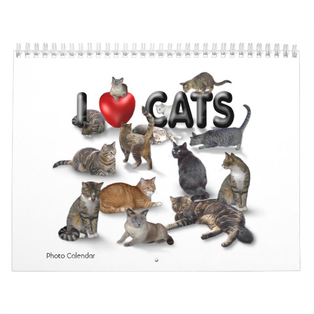 I kärlek Cats 😻 Calendar Kalender (Omslag)