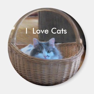 I Kärlek Cats Magnet