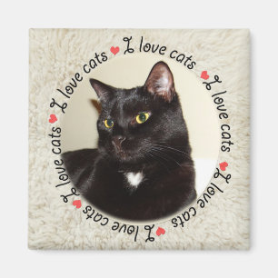 I Kärlek Cats Magnet