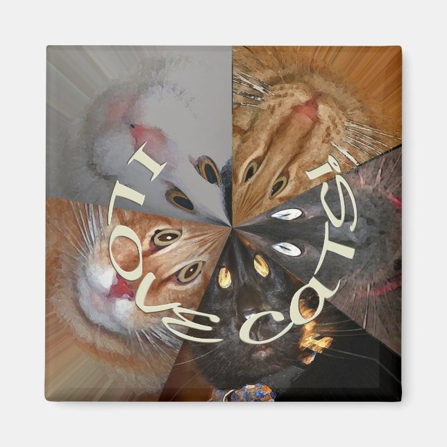 I Kärlek Cats Magnet (Framsidan)