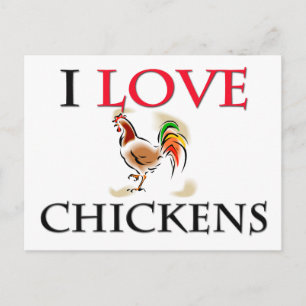 I Kärlek Chickens Vykort