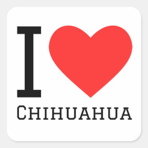 I kärlek chihuahua fyrkantigt klistermärke