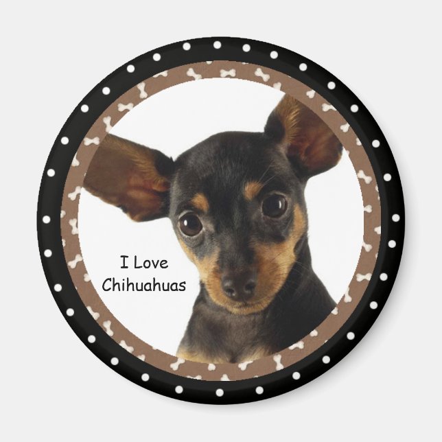 I kärlek Chihuahuas Magnet (Framsidan)