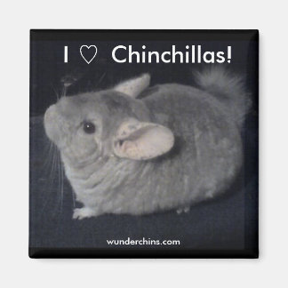 I Kärlek Chinchillas Magnet