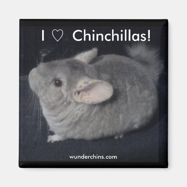 I Kärlek Chinchillas Magnet (Framsidan)