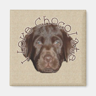 I Kärlek Chocolate Magnet