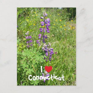 I Kärlek Connecticut Vykort