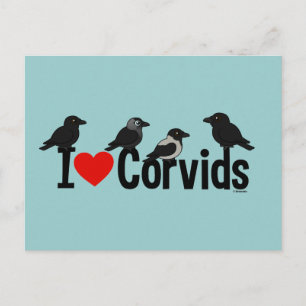 I Kärlek Corvids Vykort