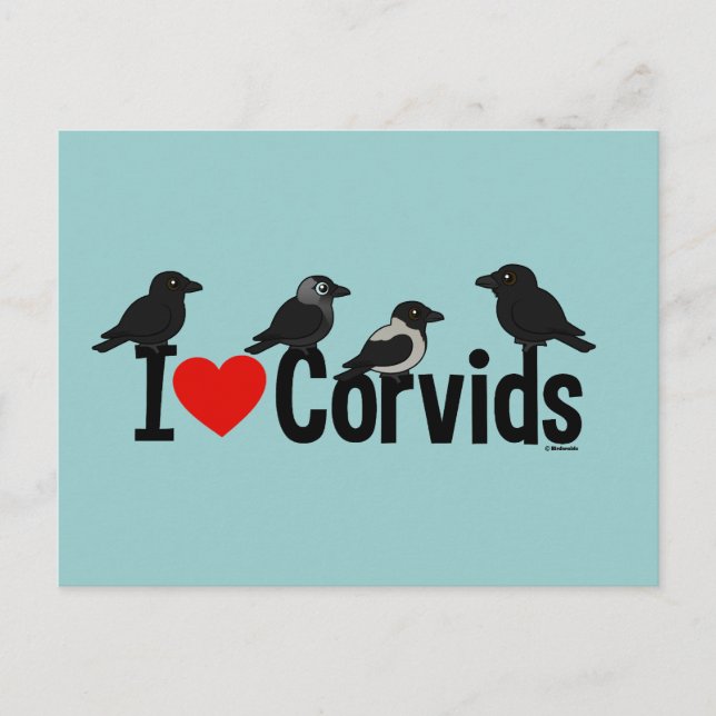 I Kärlek Corvids Vykort (Framsida)
