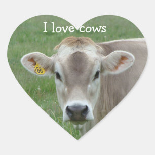 I Kärlek Cows Jersey Cow Heart Sticker Hjärtformat Klistermärke