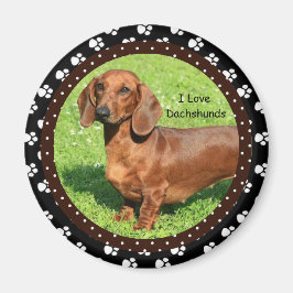 I kärlek Dachshunds 2 Magnet