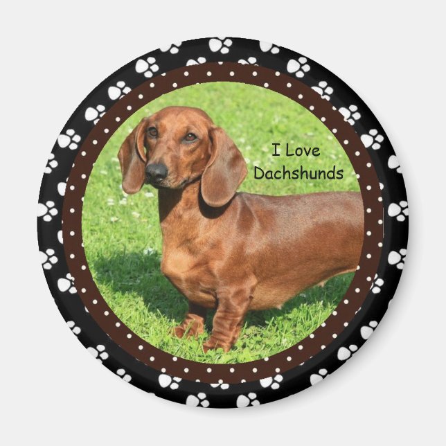 I kärlek Dachshunds 2 Magnet (Framsidan)