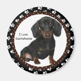 I kärlek Dachshunds Magnet