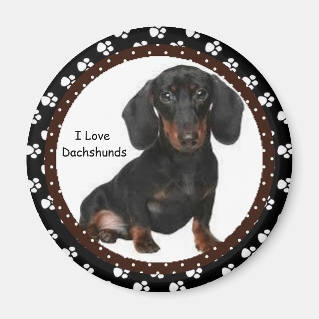 I kärlek Dachshunds Magnet (Framsidan)