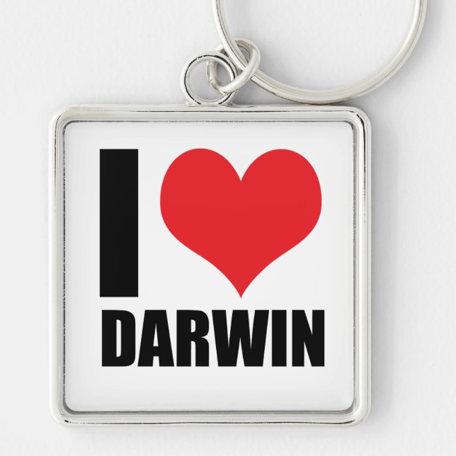 I kärlek Darwin Fyrkantig Silverfärgad Nyckelring (Framsidan)