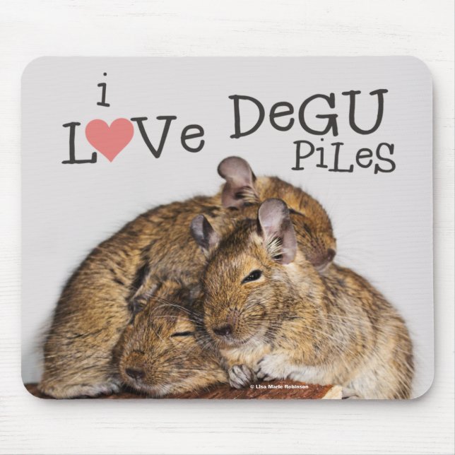 I Kärlek Degu Piles Musmatta (Framsidan)
