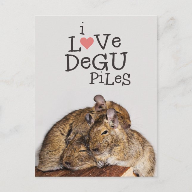 I Kärlek Degu Piles Vykort (Framsida)