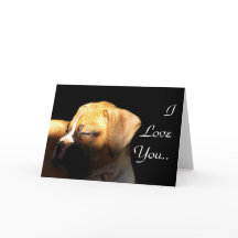 I Kärlek, ditt jaktboxervalscertifikat