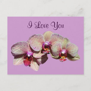 I Kärlek, ditt orchid Trio Flower Fotovykort Vykort