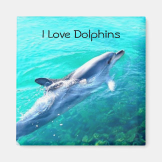 I Kärlek Dolphins Magnet