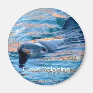 I Kärlek Dolphins Magnet