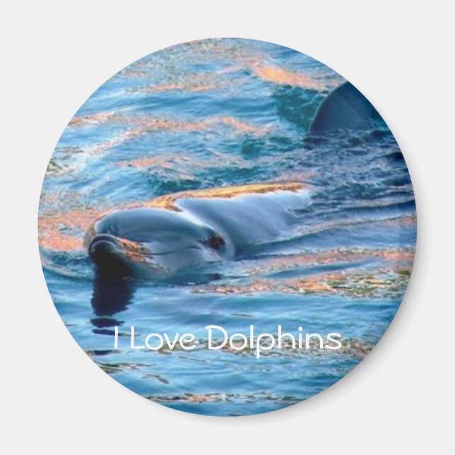 I Kärlek Dolphins Magnet (Framsidan)