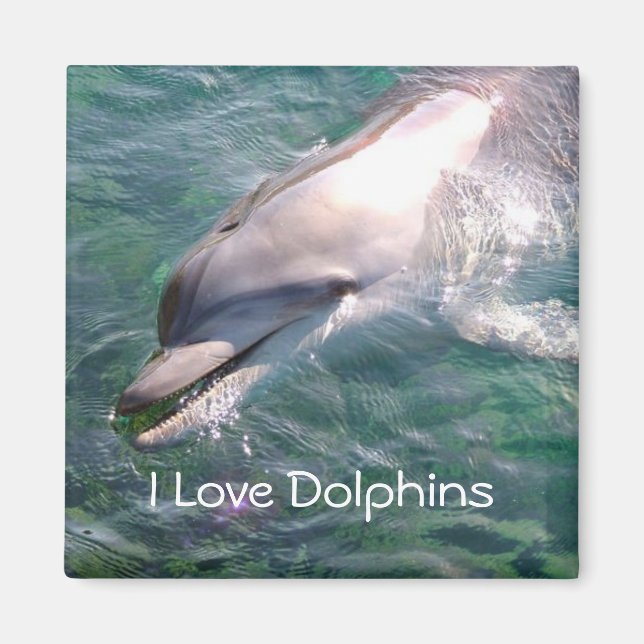 I kärlek Dolphins Magnet (Framsidan)