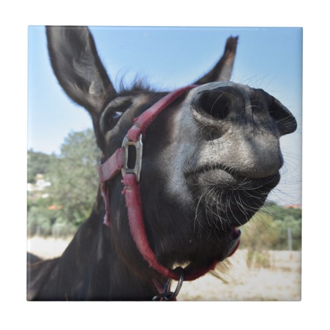 I Kärlek Donkey! Kakelplatta (Framsidan)