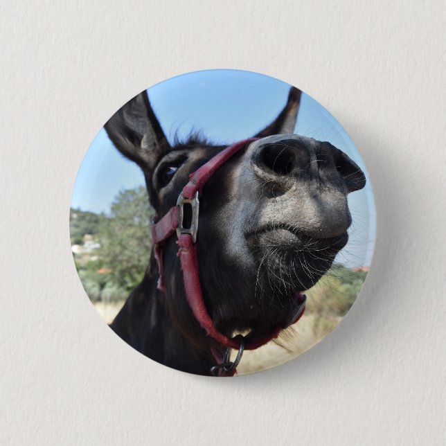 I Kärlek Donkey! Knapp (Framsida)