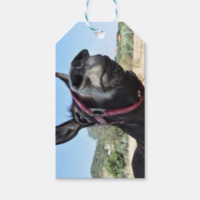 I Kärlek Donkey! Presentetikett (Framsidan)