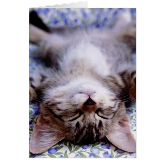 I kärlek du bild-kort hälsningskort (Framsidan)