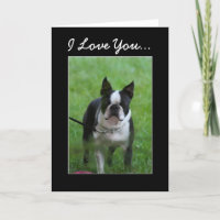 I Kärlek du Boston Terrier-hälsningskort