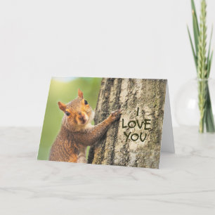 I Kärlek, du Cute Squirrel klättrar Träd-foto Helgkort
