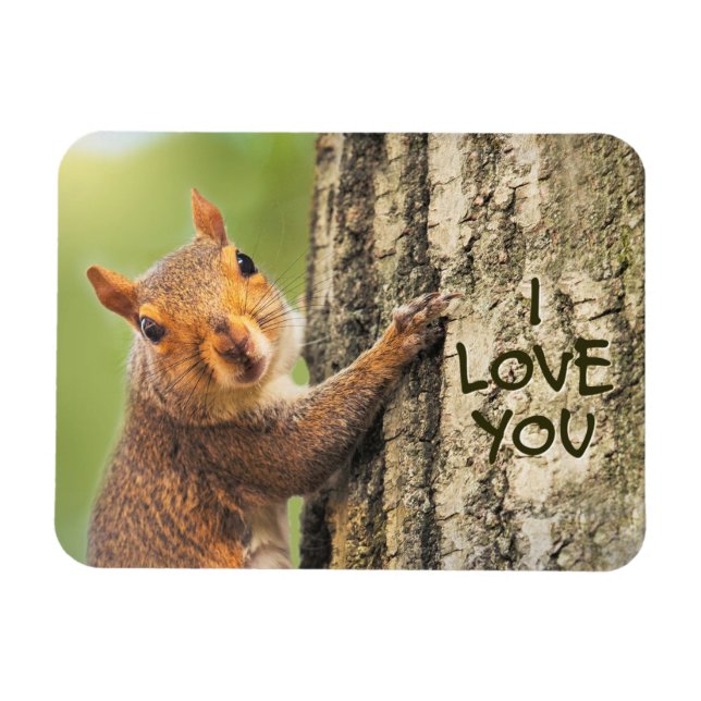 I Kärlek, du Cute Squirrel klättrar Träd-foto Magnet (Horisontell)