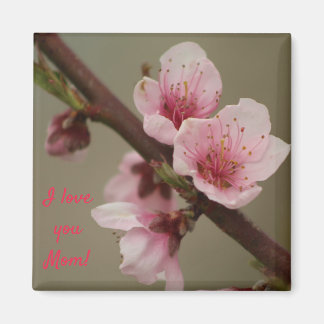 I kärlek du Mamma! rosa blommar magnet