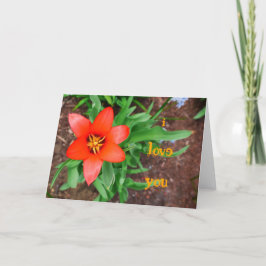 i kärlek, du-Red Tulip Card Kort