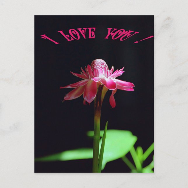 I kärlek du vykort (Framsida)