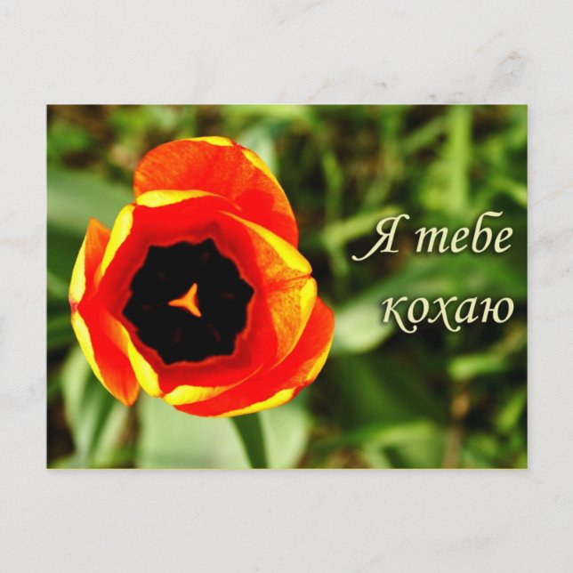 I Kärlek du vykort (Framsida)