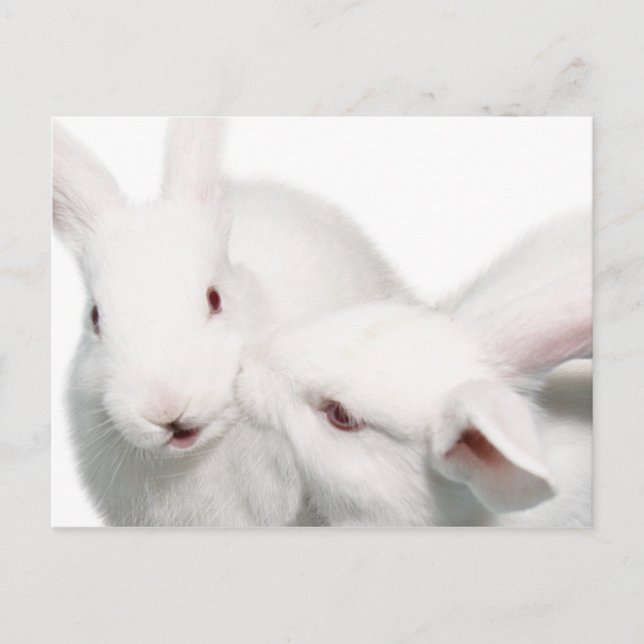 I kärlek du vykort (Framsida)