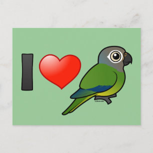 I Kärlek Dusky head Conures Vykort