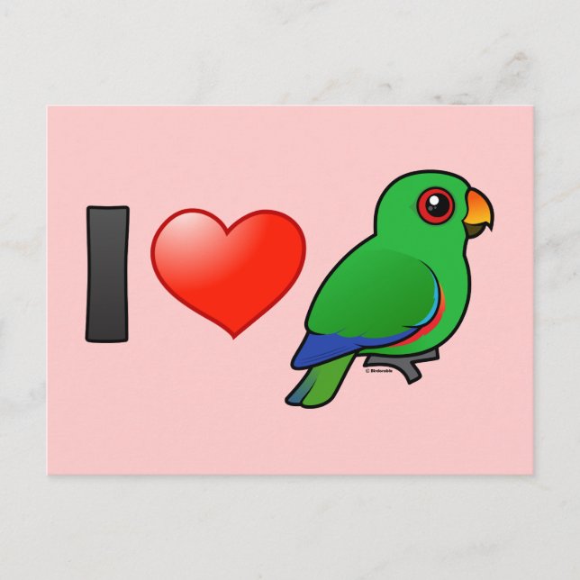 I Kärlek Eclectus Parrots (handjur) Vykort (Framsida)