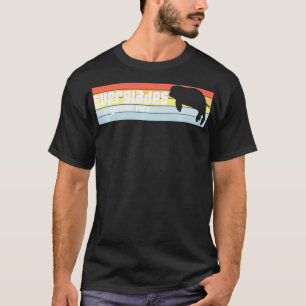 I Kärlek Everglades nationalpark Florida FL Manate T Shirt