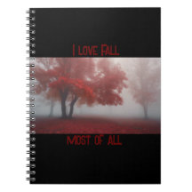 I Kärlek faller det mesta av allt