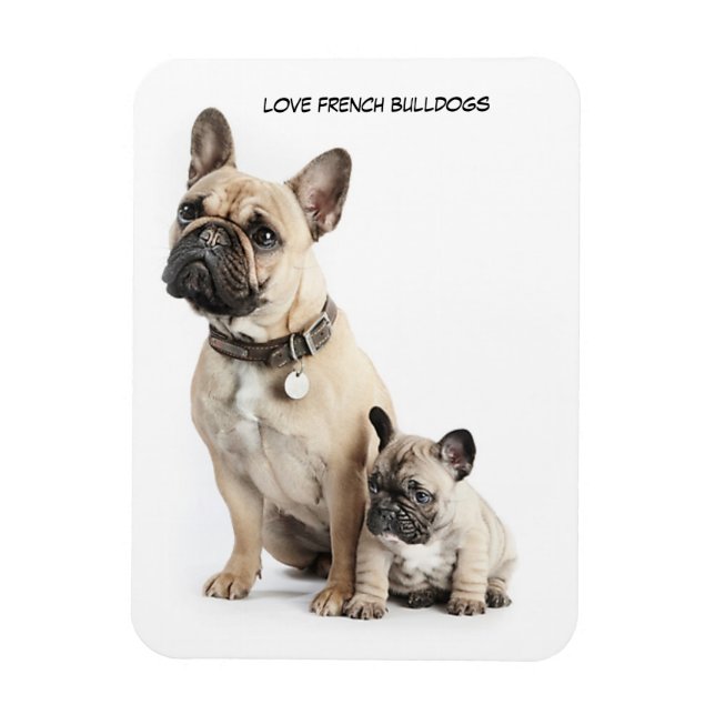 I kärlek Fransk Bulldog Magnet (Vertikal)