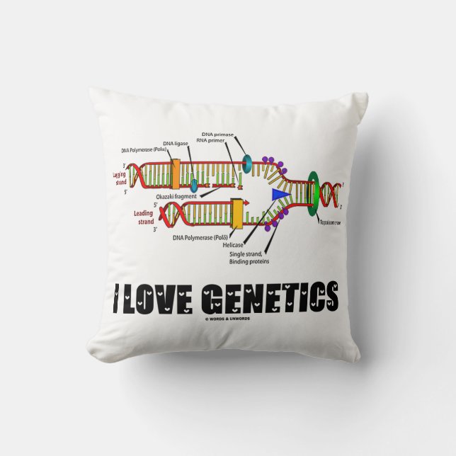 I Kärlek Genetics DNA Replication Attityd Kudde (Framsida)