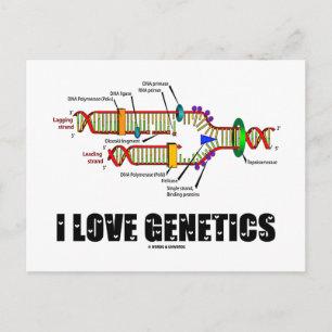 I Kärlek-genetik (DNA-replikering) Vykort